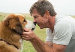 American Humane defende produção do filme 'Quatro Vidas de um Cachorro'