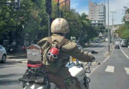 Cachorro anda na garupa de motocicleta e faz sucesso pelas ruas