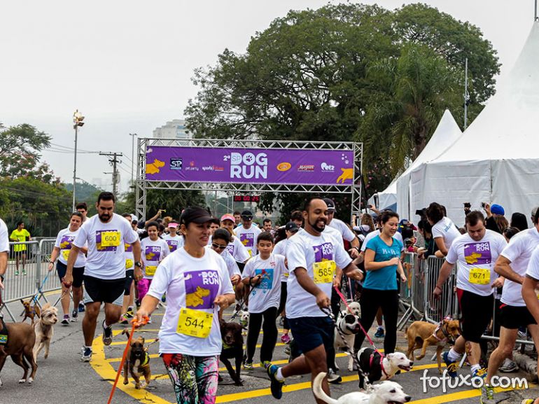 São Paulo terá corrida com cachorros 