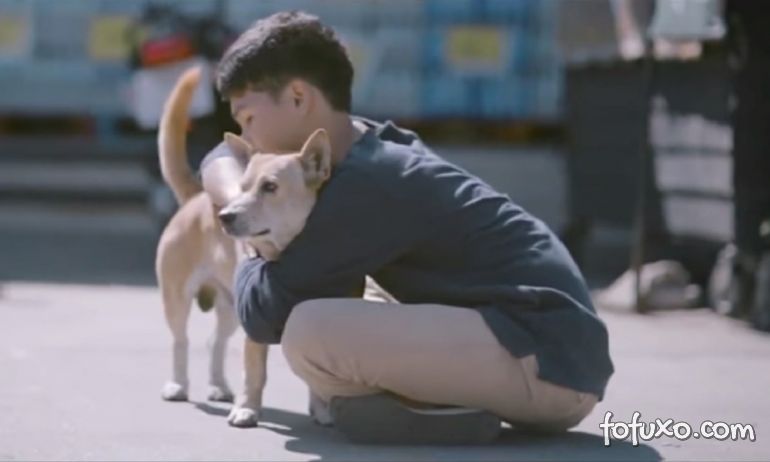 Vídeo mostra garoto abraçando cães de rua