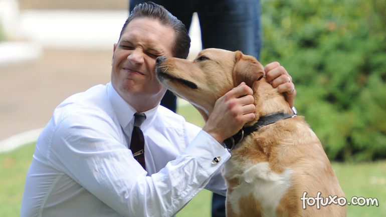 Tom Hardy faz homenagem emocionante após morte de cachorro
