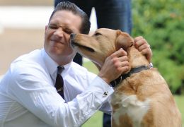 Tom Hardy faz homenagem emocionante após morte de cachorro