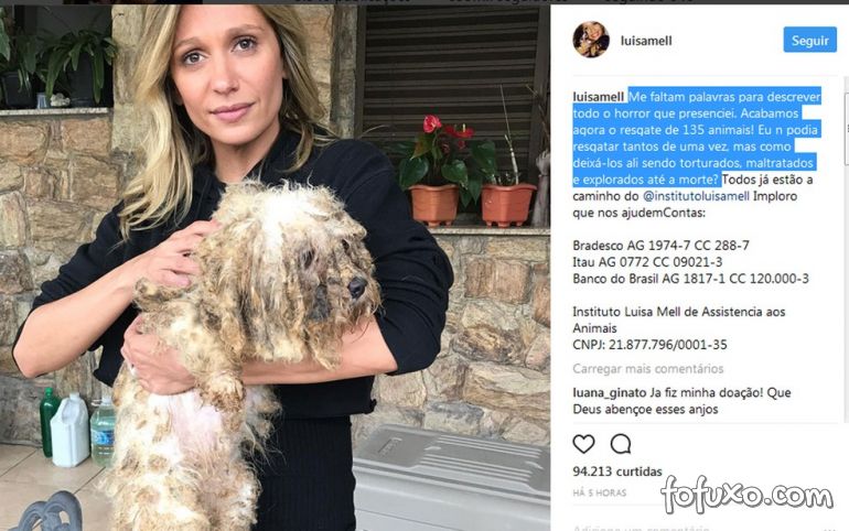 Polícia resgata 135 cachorros de canil após denúncia de Luisa Mell