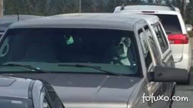 Cachorro é flagrado buzinando sem parar dentro de carro