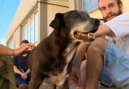 Cachorro ganha homenagem de formandos em curso de biologia