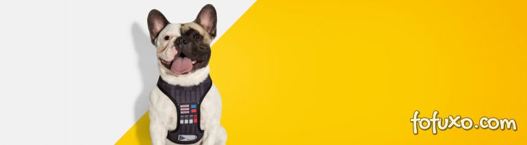 Empresa carioca ganha dinheiro fazendo guias do Darth Vader para cães