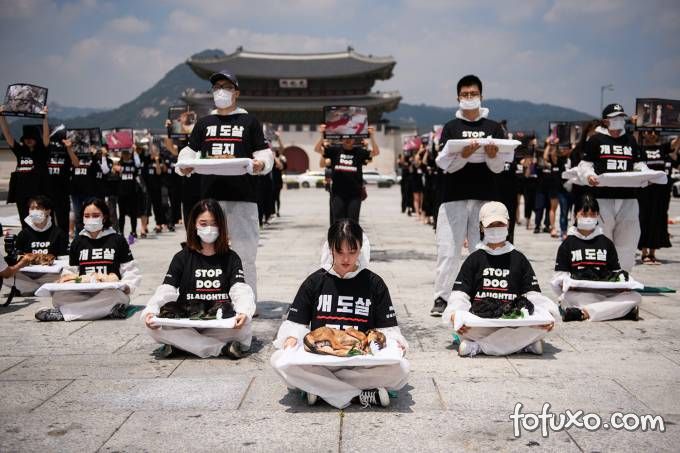Manifestantes se unem para impedir consumo de carne de cachorro em Seul