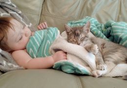 Gato e bebê: podem dormir na mesma cama?