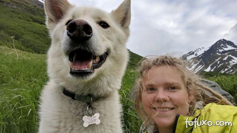 Cachorro ajuda a resgatar mulher que caiu em rio no Alasca
