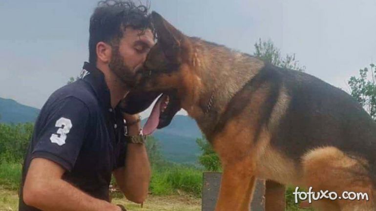 Cão que ajudou no resgate de vítimas de terremoto é encontrado morto