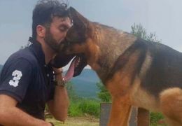 Cão que ajudou no resgate de vítimas de terremoto é encontrado morto