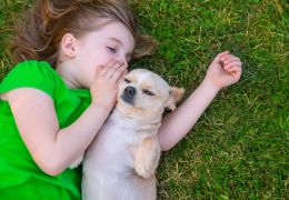 Nova pesquisa reforça: Cães entendem o que os humanos falam