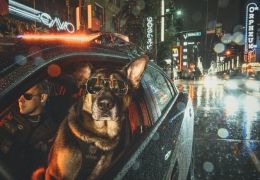 Polícia canadense faz calendário com fotos de seus cães