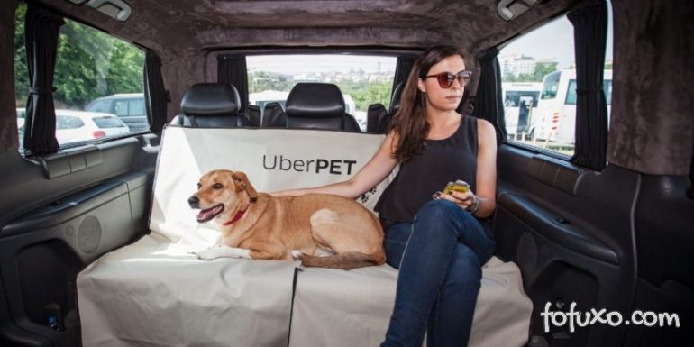 Dicas para levar cachorros no Uber