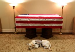 Cachorro de ex-presidente dos EUA falecido aparece ao lado do caixão do ex-dono