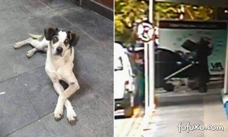 Polícia acusa segurança por agressão e morte no caso do cachorro do Carrefour