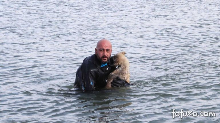Policial salva cachorro atravessando águas geladas