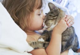 5 benefícios para as crianças de se ter um gato