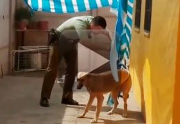 Vídeo mostra policial chileno “salvando” cão dentro de casa