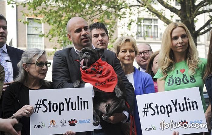 Artistas europeus protestam contra festival de carne de cachorro e gato na China