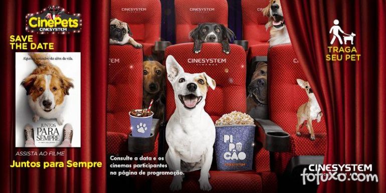 Cinema de São Paulo terá sessão mensal para tutores e cães