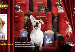 Cinema de São Paulo terá sessão mensal para tutores e cães