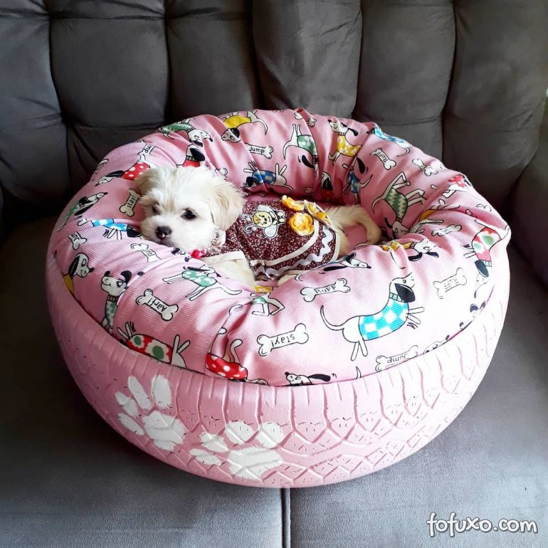 Saiba como fazer uma cama para cachorro com pneu velho