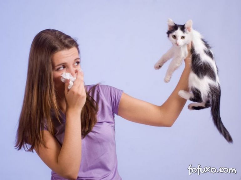 Cientistas desenvolvem vacina contra alergia a pelos de gato