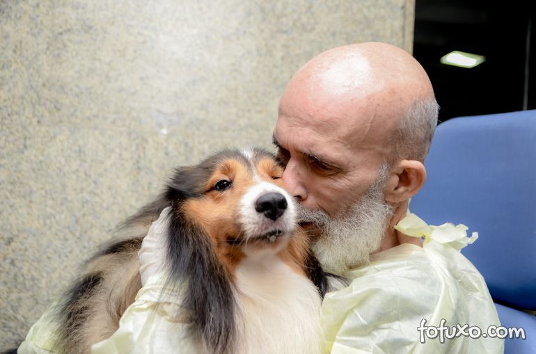 Paciente com câncer apresenta melhora após encontrar cão em hospital