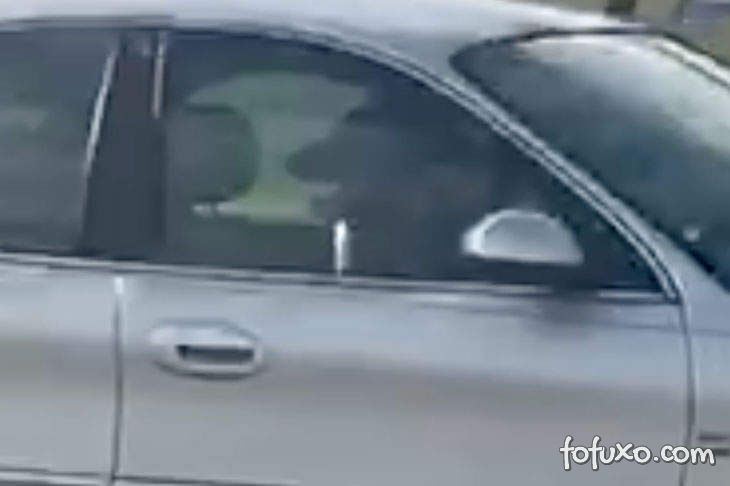 Cachorro “dirige” carros em círculos por uma hora na Flórida