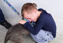 Menino reencontra cachorro furtado em parque e se emociona