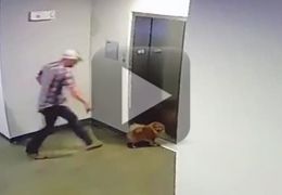 Homem salva cachorro que fica com guia presa em elevador