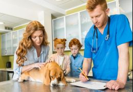 Cachorros com dores na coluna: Confira dicas para aliviar o incomodo