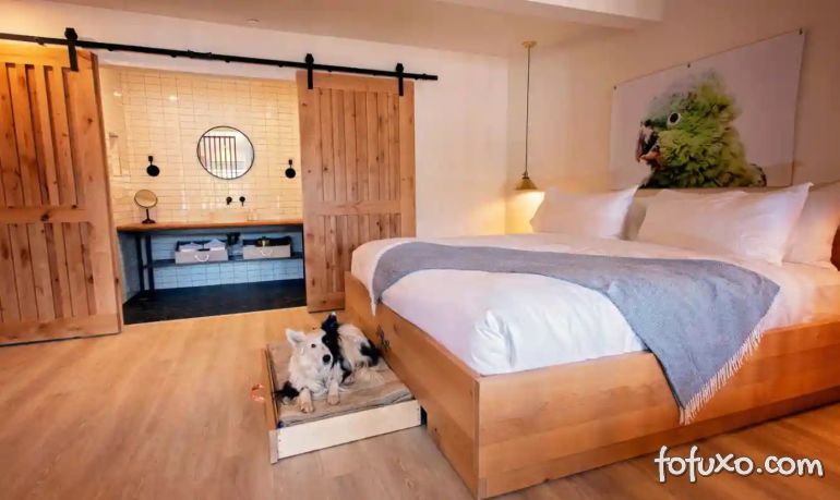 Hotel dos EUA projeta quartos para animais de estimação