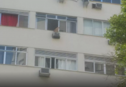 Cachorro é resgatado em cima de ar-condicionado de apartamento no 7º andar