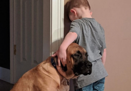 Cachorro fica junto com menino durante castigo