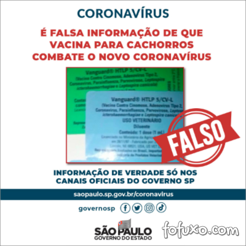 Fake News: Vacina para cachorro NÃO combate novo coronavírus