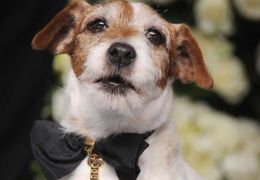 Cachorro do filme “O Artista” ganha homenagem póstuma
