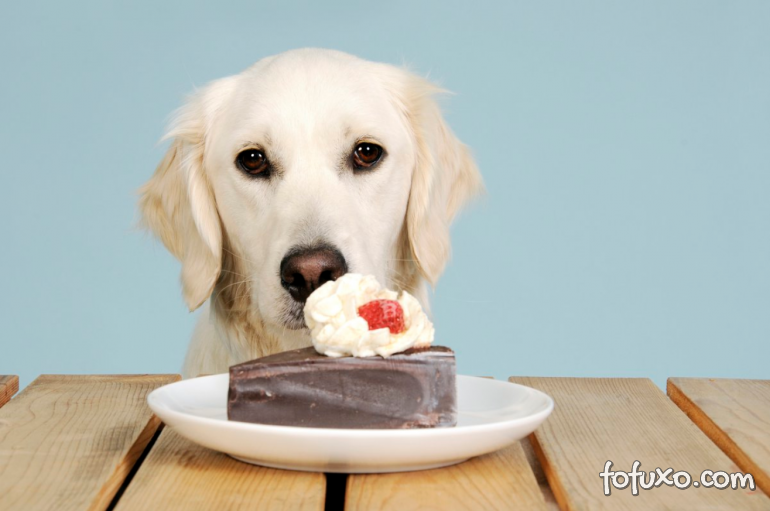Saiba o que fazer se o seu cachorro está comendo mais na quarentena