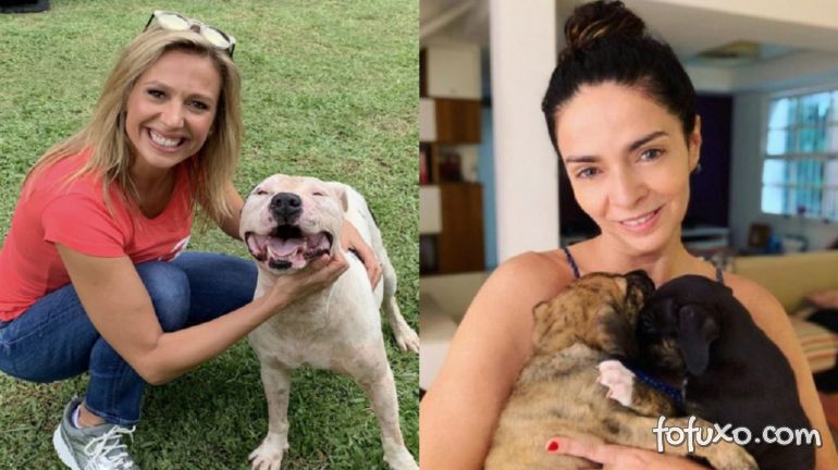 Luisa Mell critica Claudia Ohana por devolver cachorros adotados