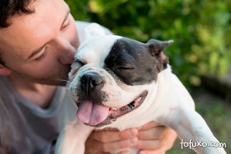5 sinais que comprovam que o seu cachorro te ama