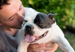 5 sinais que comprovam que o seu cachorro te ama