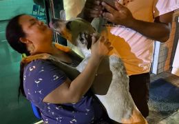 Mulher adota cão após perder mãe para Covid