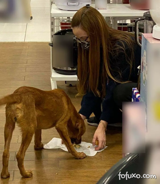 Vendedora alimenta cachorro de rua com a própria marmita