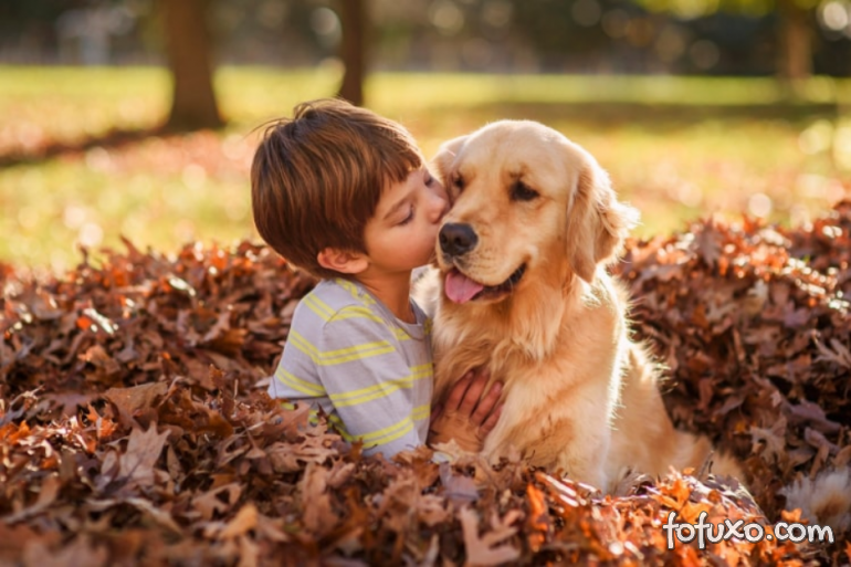 5 raças de cachorros para dar para os filhos no Dia Das Crianças