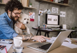 Confira algumas dicas para conciliar rotina entre cachorro e home office