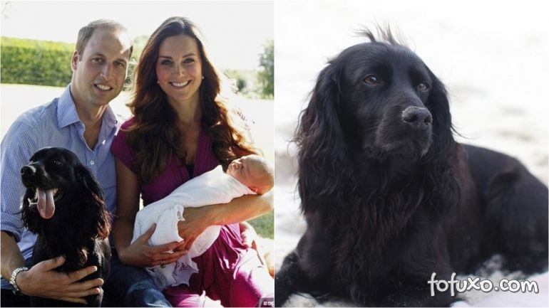 Morre Lupo, cachorro de Príncipe William e Kate Middleton