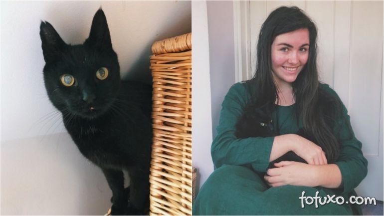 Mulher reencontra gato desaparecido por 8 anos