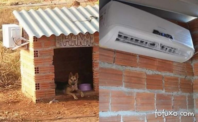 Casa de cachorro com ar-condicionado viraliza na internet