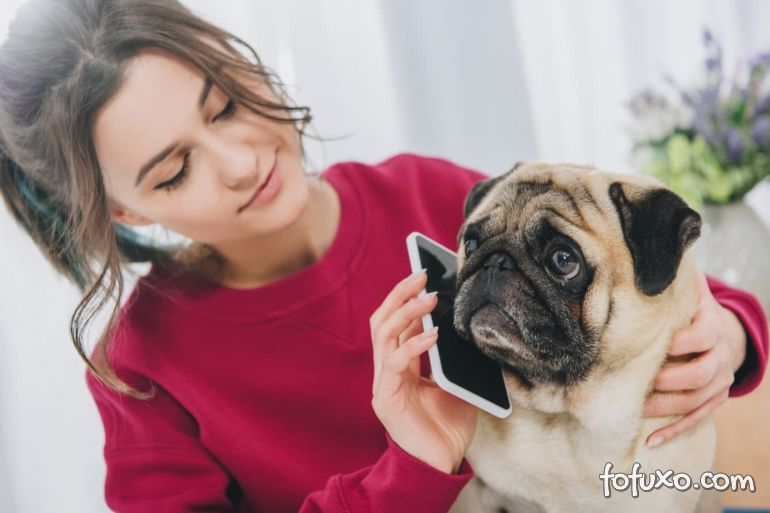4 aplicativos que ajudam a cuidar do seu cachorro